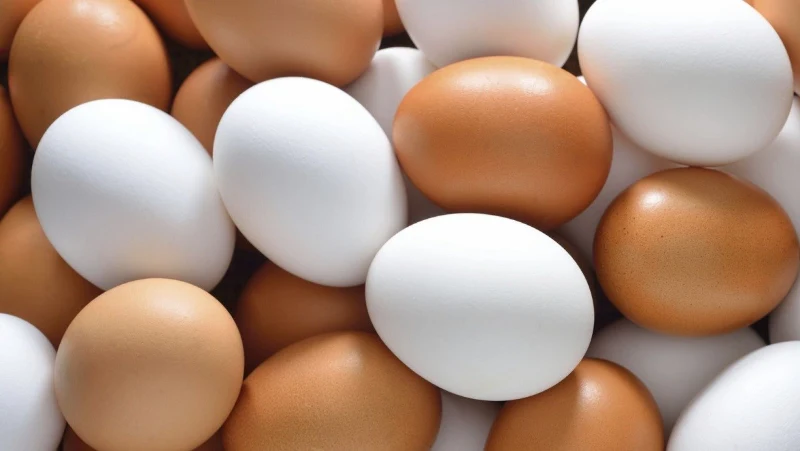 Các quả trứng gà được chọn phải đầy đủ các tiêu chí 